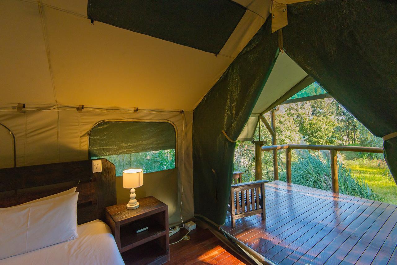 Amadwala Lodge Roodepoort Pokój zdjęcie