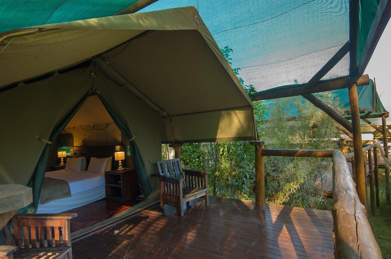 Amadwala Lodge Roodepoort Pokój zdjęcie