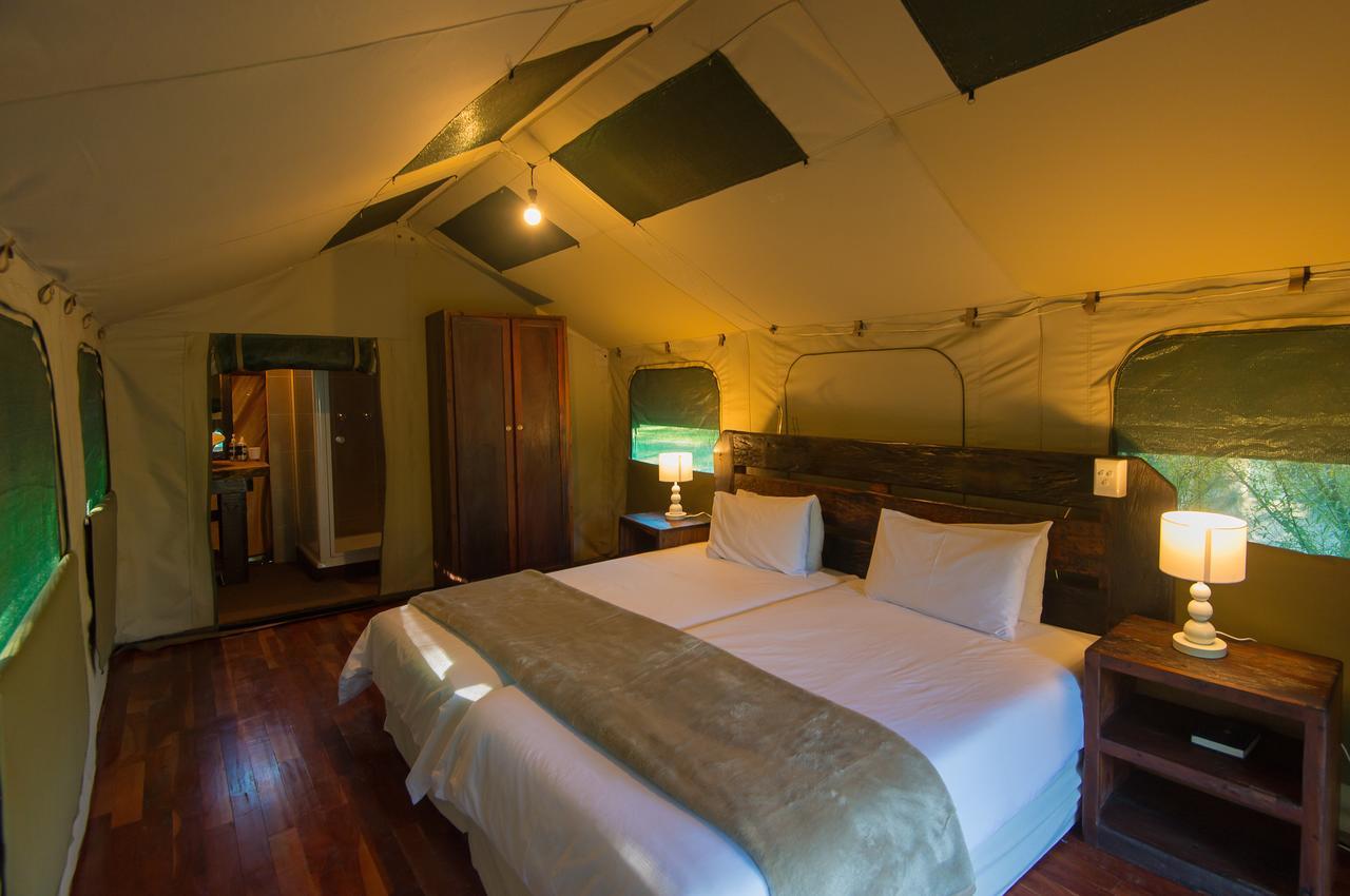 Amadwala Lodge Roodepoort Pokój zdjęcie